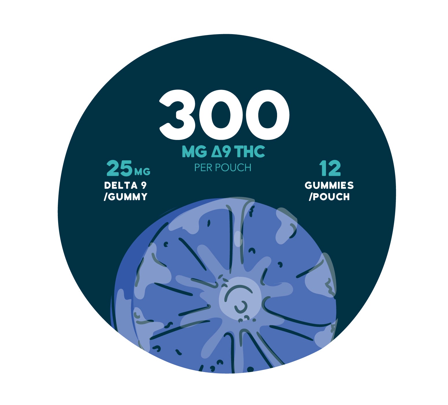 Graphic showing a close-up blue, fruit slice-style gummy on a dark teal background with text reading “300 MG Δ9 THC per pouch,” “25 MG Delta 9 / gummy,” and “12 gummies / pouch.”