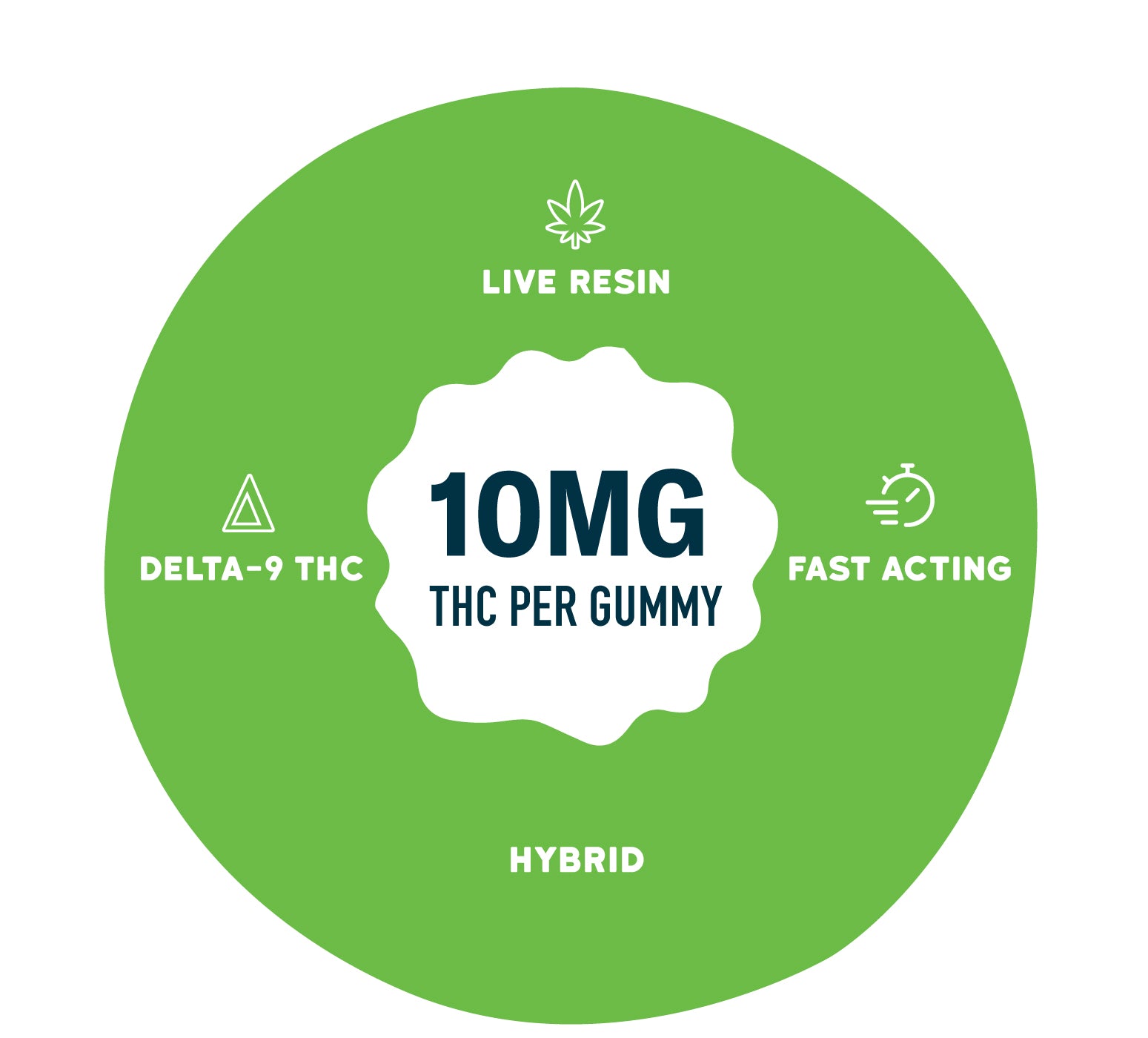 Graphic on a bright green background with a central badge reading “10MG THC per gummy.” Surrounding text and icons highlight “Live Resin,” “Delta-9 THC,” “Fast Acting,” and “Hybrid.”